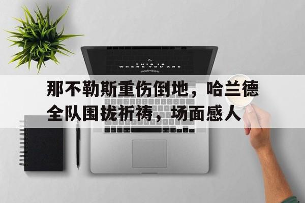 那不勒斯重伤倒地，哈兰德全队围拢祈祷，场面感人除我之外全队反派免费阅读